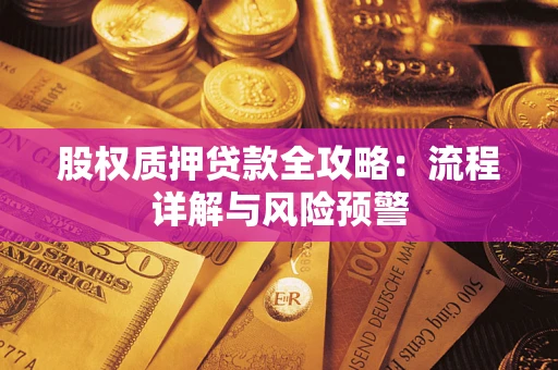 武汉股权质押贷款全攻略：流程详解与风险预警