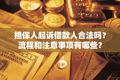 武汉担保人起诉借款人合法吗？流程和注意事项有哪些？
