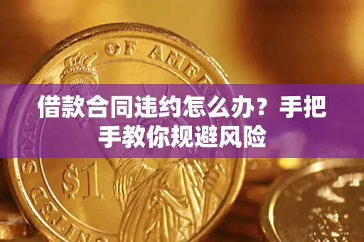 武汉借款合同违约怎么办？手把手教你规避风险