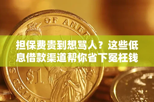 武汉担保费贵到想骂人？这些低息借款渠道帮你省下冤枉钱