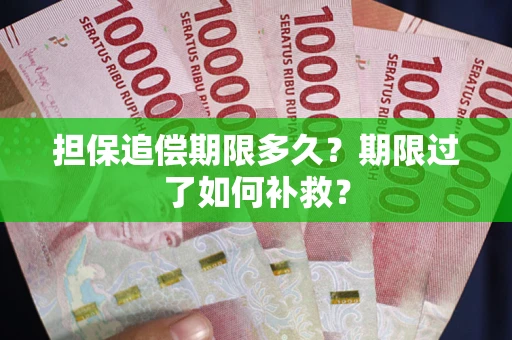 武汉担保追偿期限多久？期限过了如何补救？