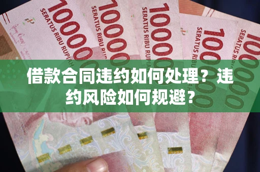 武汉借款合同违约如何处理？违约风险如何规避？