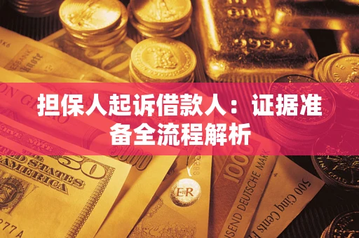 武汉担保人起诉借款人：证据准备全流程解析