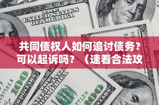 武汉共同债权人如何追讨债务？可以起诉吗？（速看合法攻略）