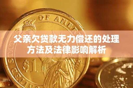 武汉父亲欠贷款无力偿还的处理方法及法律影响解析