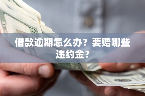 武汉借款逾期怎么办？要赔哪些违约金？
