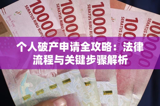 武汉个人破产申请全攻略：法律流程与关键步骤解析