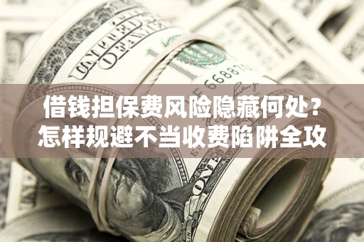 武汉借钱担保费风险隐藏何处？怎样规避不当收费陷阱全攻略！